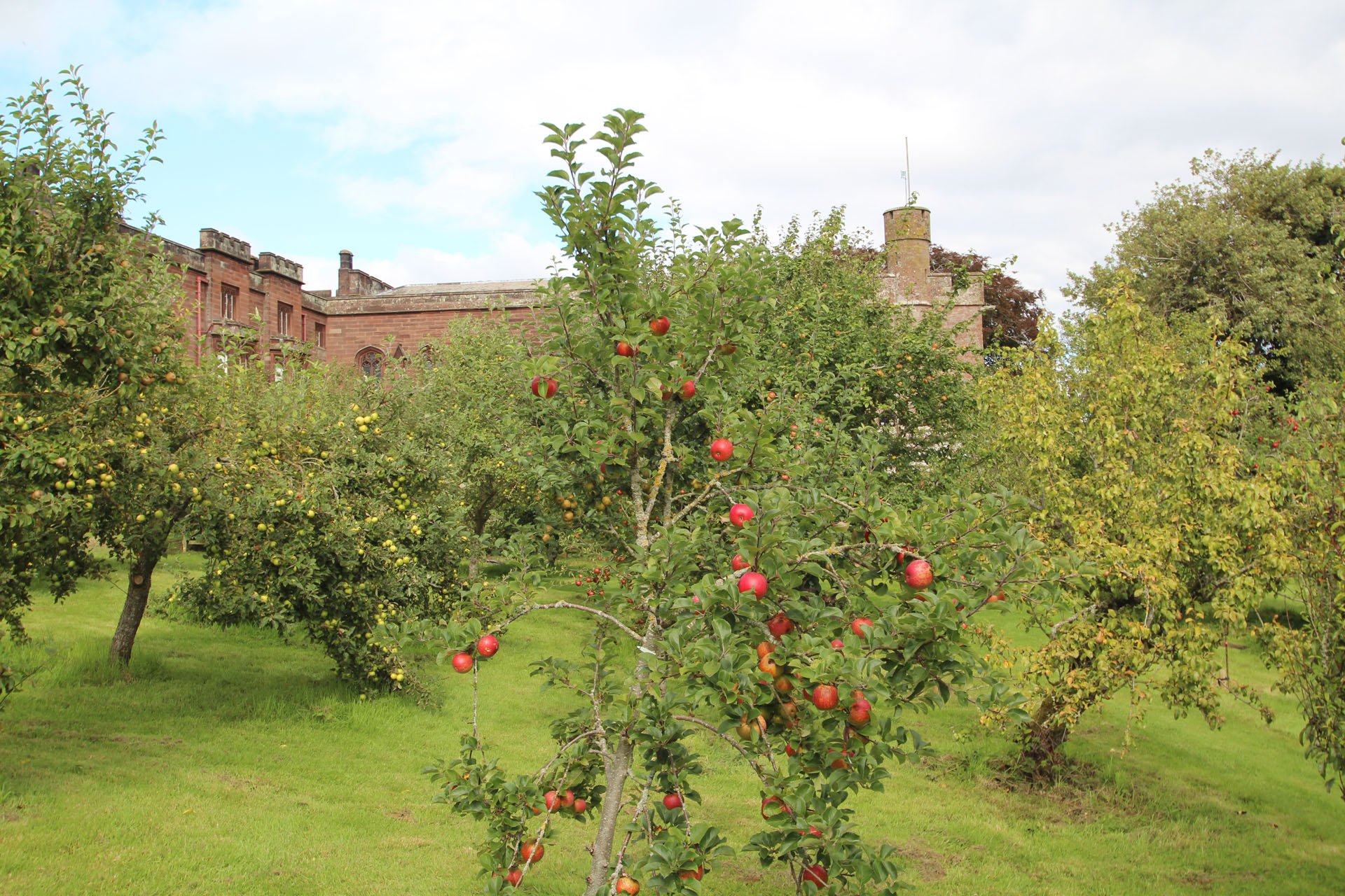 Rose Castle Gardens