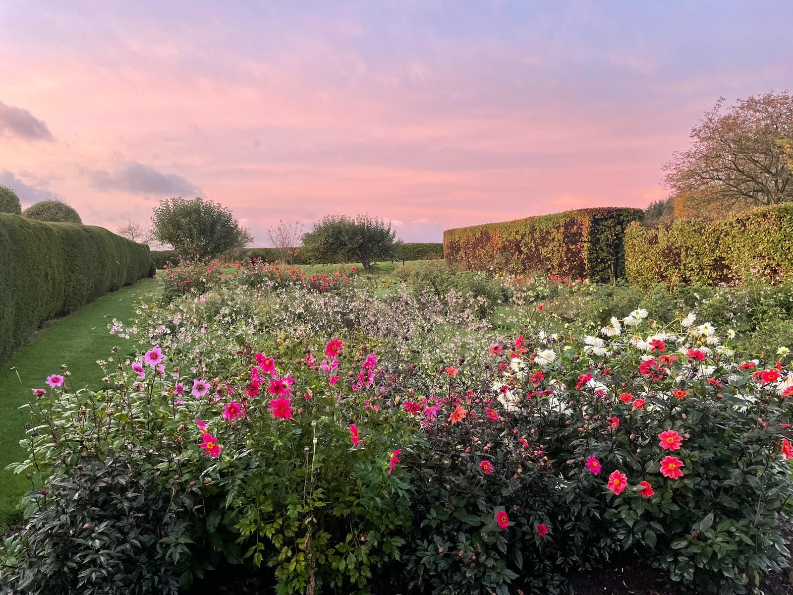 Rose Castle Wild Flowers