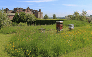 Rose Gardens _ Rose Castle