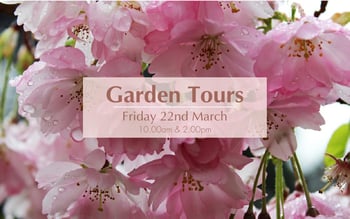Rose Castle Garden Tours March 2024