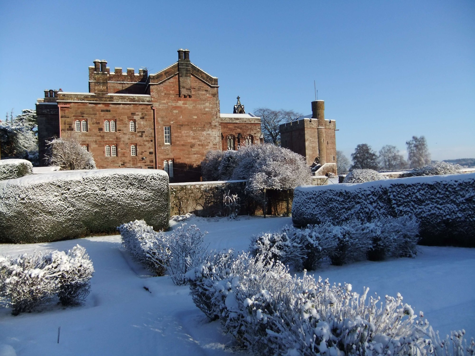 Snowy Rose Castle