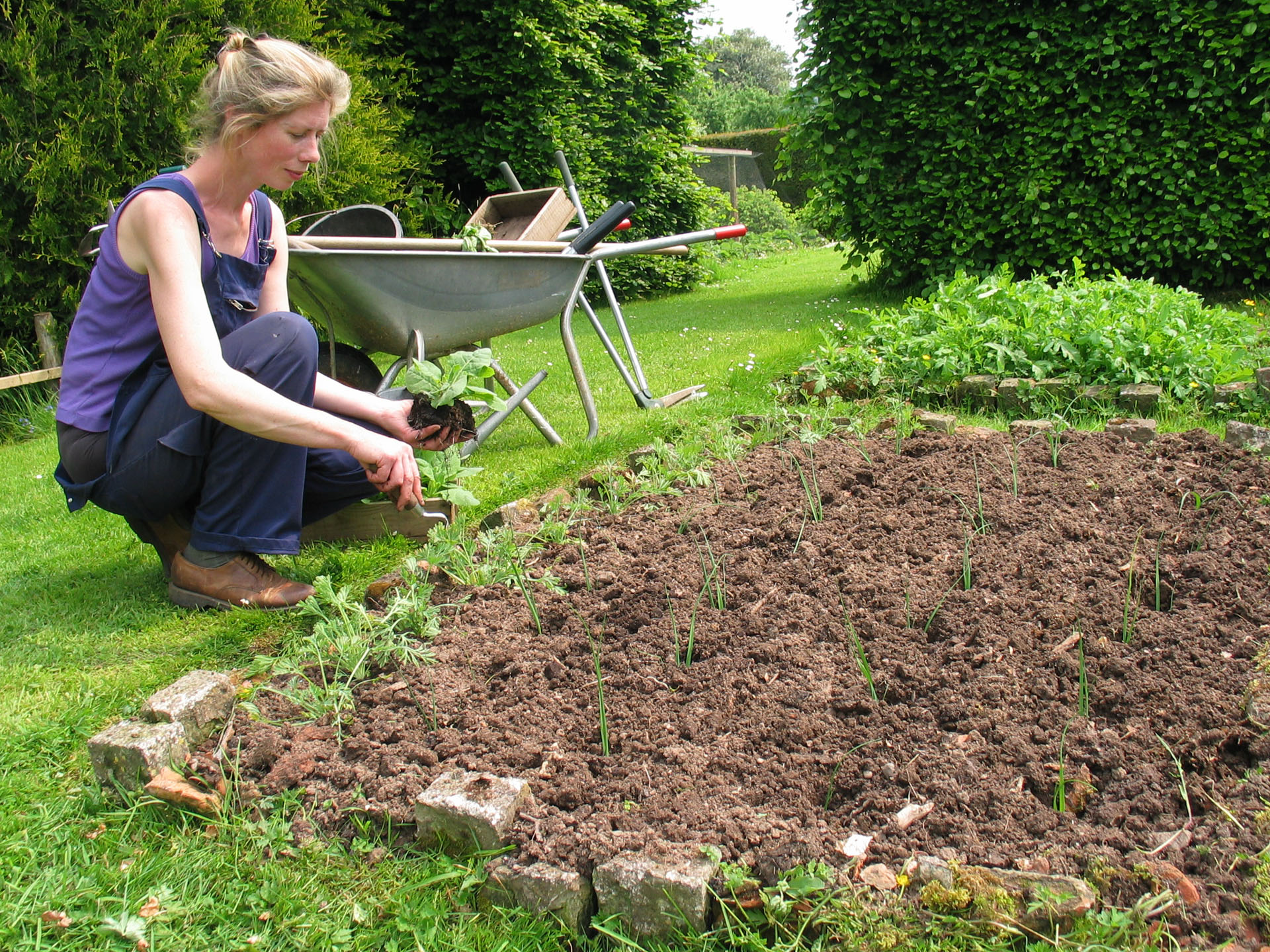 Jan planting2