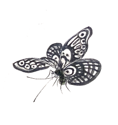 www.rosecastle.comhubfsRose-CastleHome-Pageinsect-1